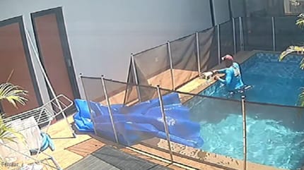 Pool cleaner saving dog by pool