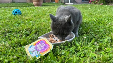 Pride Month Edition von Liliy's Kitchen