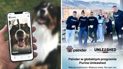 Psinder aplikacja