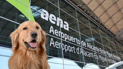pueden-entrar-perros-aeropuerto-de-alicante