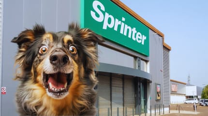 Pueden entrar perros en Sprinter