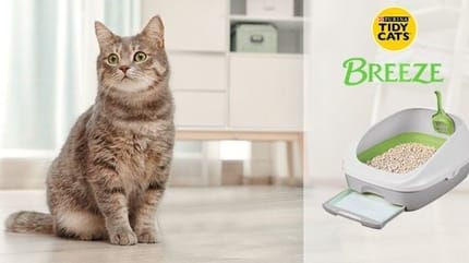 Litière Tidy Cats Breeze