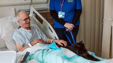 purina-premio-betterwithpets