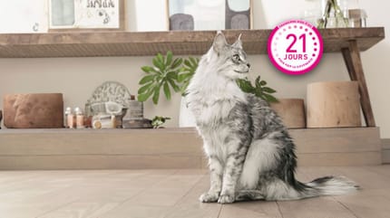 Purina® ONE® Programme 21 joues