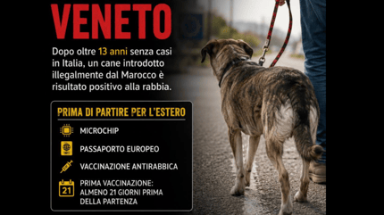 rabbia a Vittorio Veneto