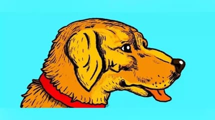 Rätsel: Menschengesicht im Hund finden