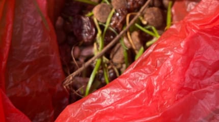 Rote Plastiktüte mit aufgesammelten Dingen