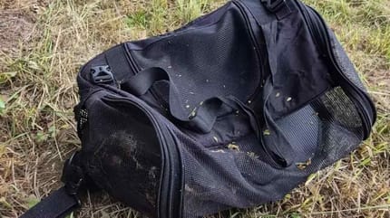 Borsa da viaggio nera trovata in un cespuglio