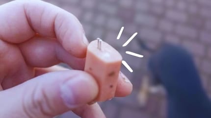 Saucisses avec des aiguilles pour les chiens