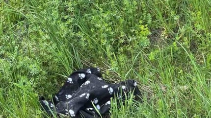 Couverture douillette noire dans l'herbe