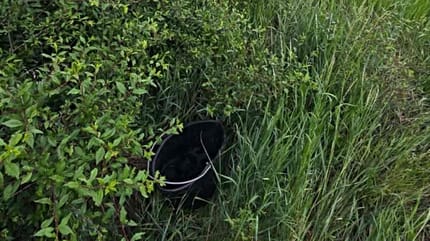 Schwarzer Eimer im Gras