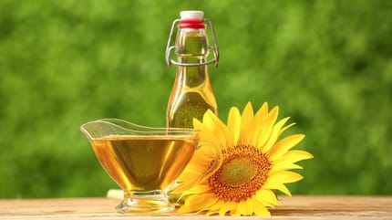 Sonnenblumenöl für Hunde
