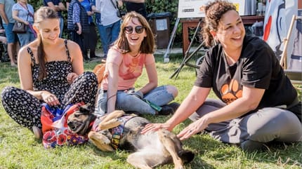 spacer Adopciaków 2025