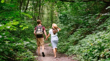 Wandelaars vinden handdoek in het bos