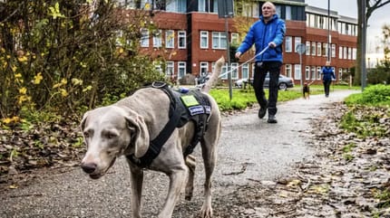Speurhonden helpen bij opsporen verdwaalde mensen met dementie