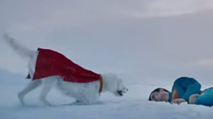 Superman und Krypto