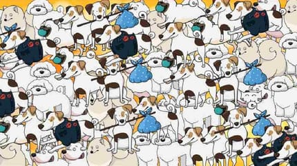 test visual encuentra al gato entre los perros