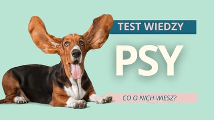 test wiedzy o psach