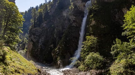 Tragiczny wypadek w Austrii. Pies spadł z wodospadu, właścicielka ruszyła za nim