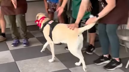 Tracy the dog