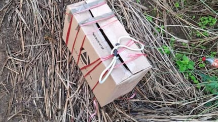 Un carton