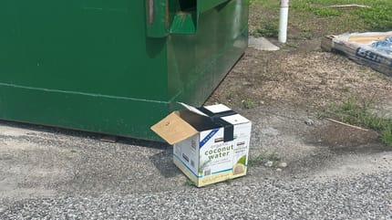 Un carton abandonné devant un refuge