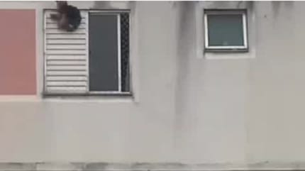 Un chien dans le vide
