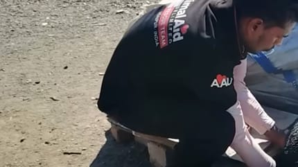 Un sauveteur de chiens