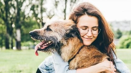 vieux chien et sa maîtresse