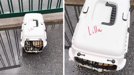 Een reismand voor het asiel