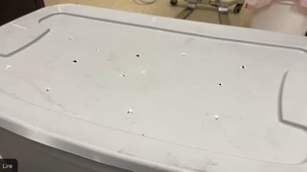 Une boite en plastique percée de trous