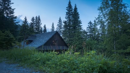 Une cabane dans la forêt