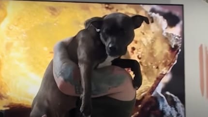 Une chienne dans les bras de sa famille d'accueil