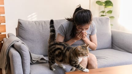 Une femme en crise d'allergie devant son chaton