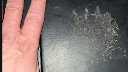 Une mystérieuse empreinte dans une cuisine