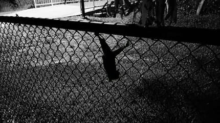 Małe stworzenie samotne w parku dla psów