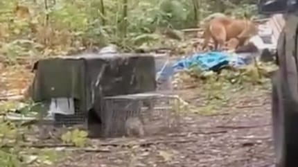 Ein alter, verlassener Wohnwagen