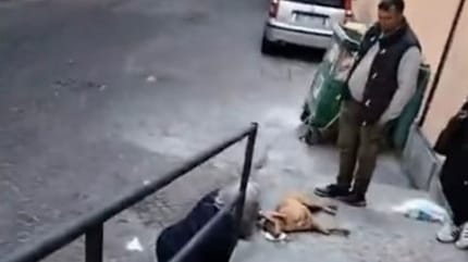 uomo e donna soccorrono cane randagio in strada