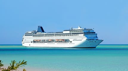 voyager avec son chien en bateau