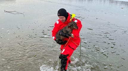 Wasserwacht rettet Dackel aus See