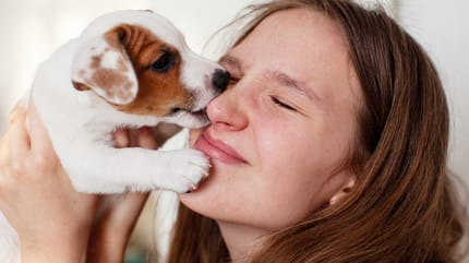 Welpe leckt Frau durchs Gesicht