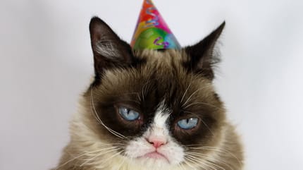 Wereld dierendag