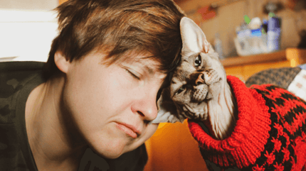 gatto mi dà testate