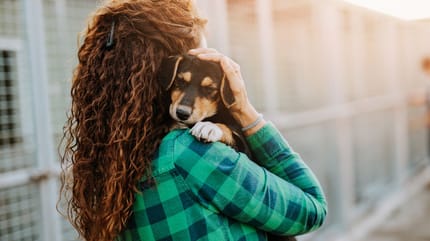 Wo kann man Hunde kaufen?