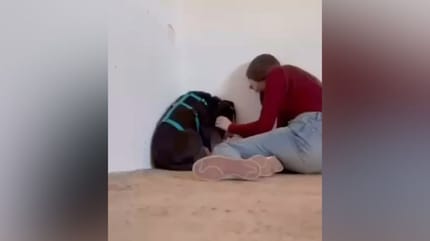 woody-perro-rescatado-con-mucho-miedo