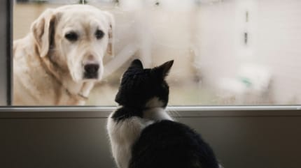 Zeitumstellung am 30. März