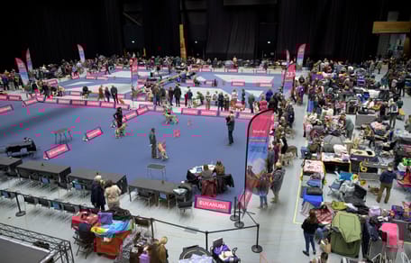 1500 honden komen bijeen in Groningen bij Martiniplaza