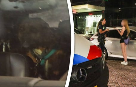 2 Hunde in glühend heißem Auto auf der Kruiskade in Rotterdam zurückgelassen