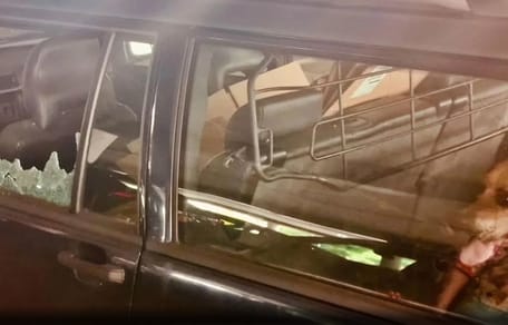 2 Hunde aus glühend heißem Auto in Son en Breugel befreit