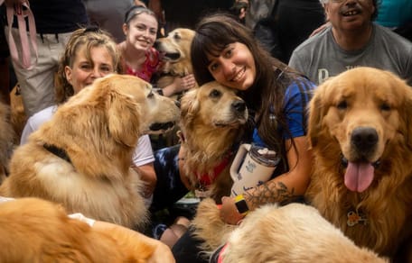 2397 Golden Retrievers bij elkaar zorgt voor wereldrecord in Buenos Aires